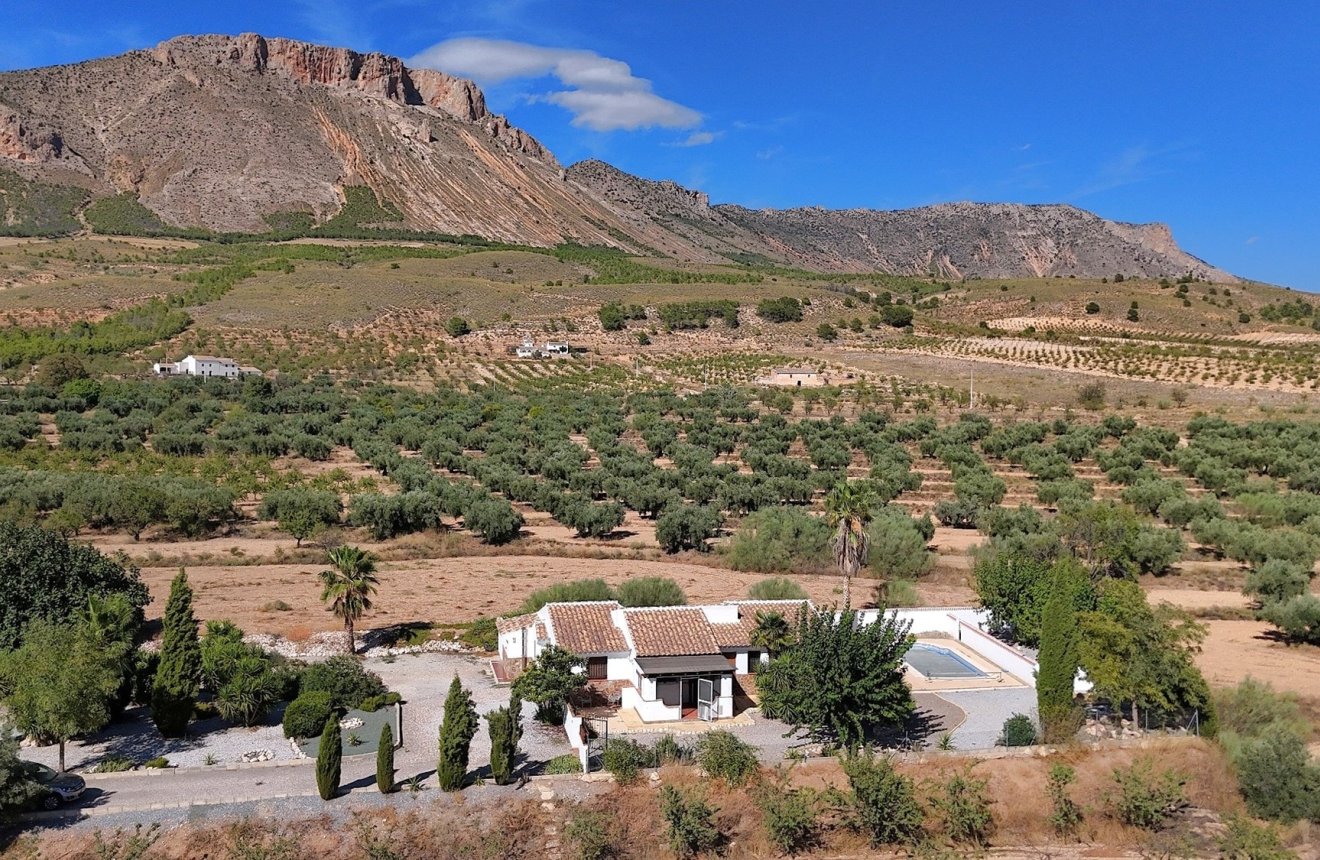 Reventa - Villa -
Velez-Blanco