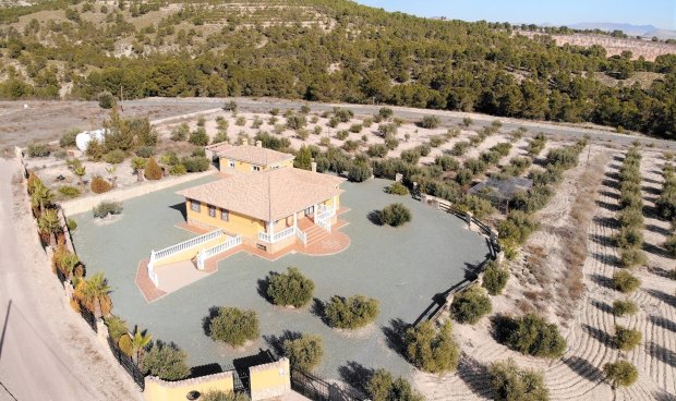 Villa - Resale - La Parroquia -
                La Parroquia