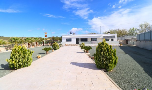 Villa - Resale - Lorca -
                Lorca