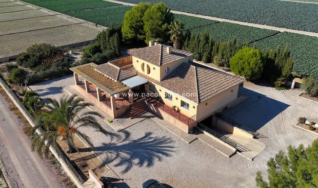 Villa - Resale - Lorca -
                Lorca