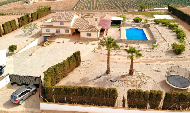 Villa - Resale - Purias -
                Purias