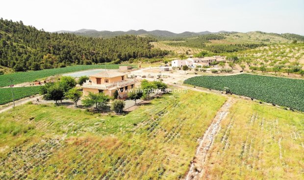 Reventa - Villa -
La Parroquia