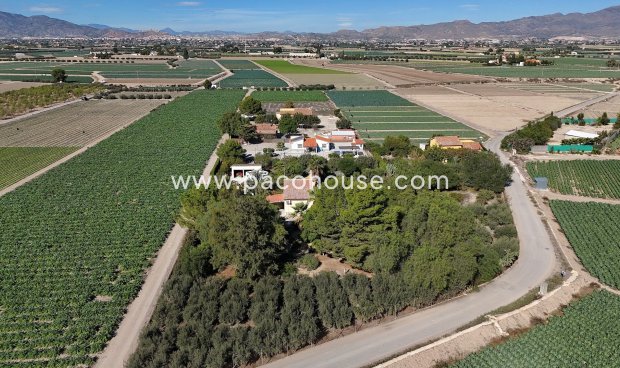 Resale - Country House -
Lorca