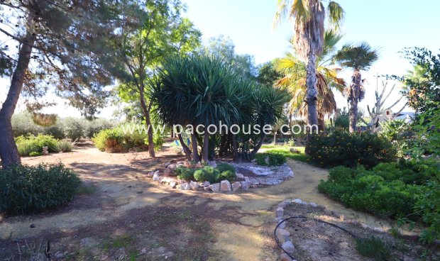Resale - Country House -
Lorca