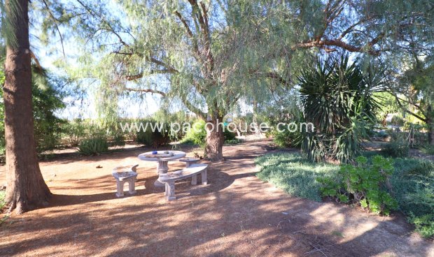 Resale - Country House -
Lorca