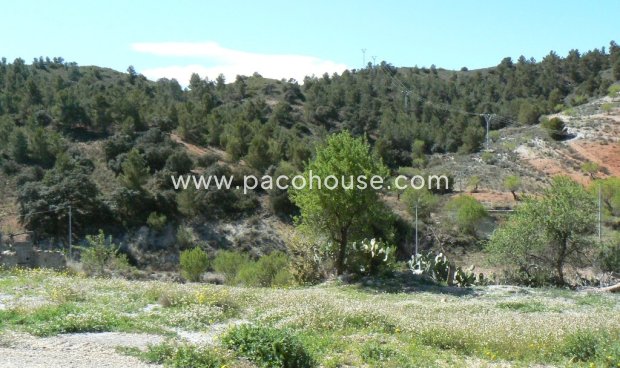 Resale - Cortijo -
Zarzalico