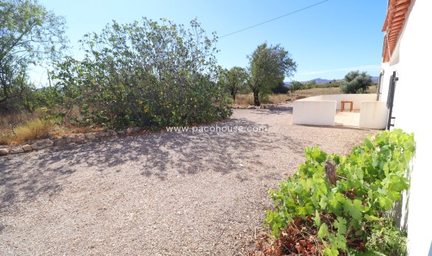 Reventa - Cortijo -
Velez-Blanco