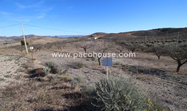 Resale - Plot / Land -
Zarzalico