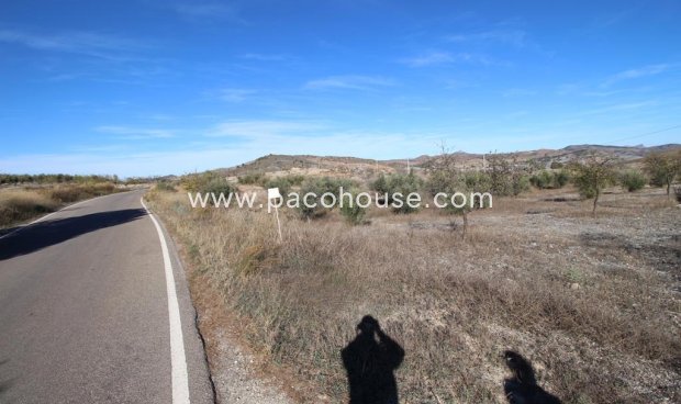 Resale - Plot / Land -
Zarzalico
