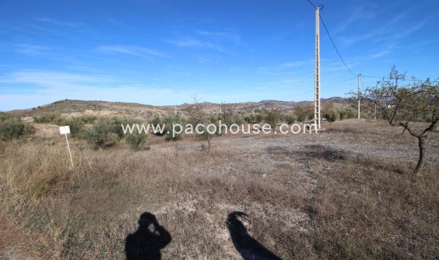 Resale - Plot / Land -
Zarzalico
