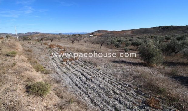 Resale - Plot / Land -
Zarzalico
