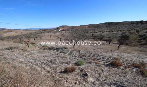 Resale - Plot / Land -
Zarzalico
