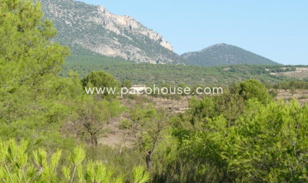Resale - Plot / Land -
La Parroquia