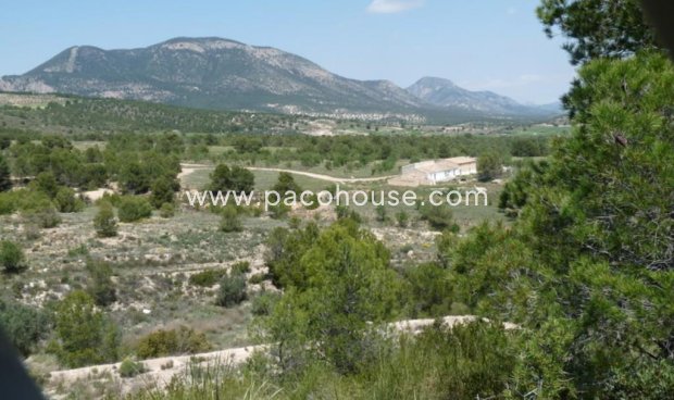 Resale - Plot / Land -
La Parroquia