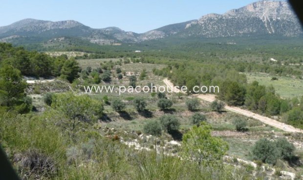 Resale - Plot / Land -
La Parroquia