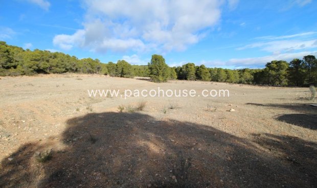 Resale - Plot / Land -
La Parroquia