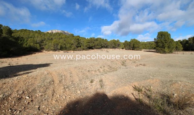 Resale - Plot / Land -
La Parroquia
