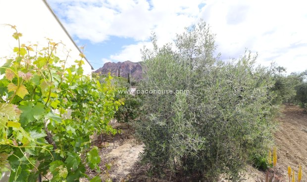 Resale - Country House -
Velez-Blanco