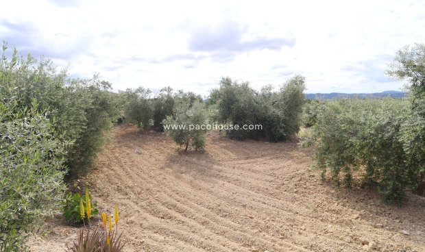 Resale - Country House -
Velez-Blanco