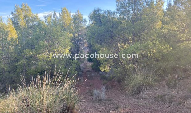 Resale - Plot / Land -
La Parroquia