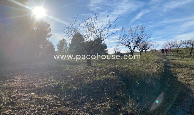 Resale - Plot / Land -
La Parroquia