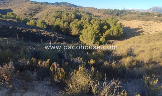 Resale - Plot / Land -
La Parroquia