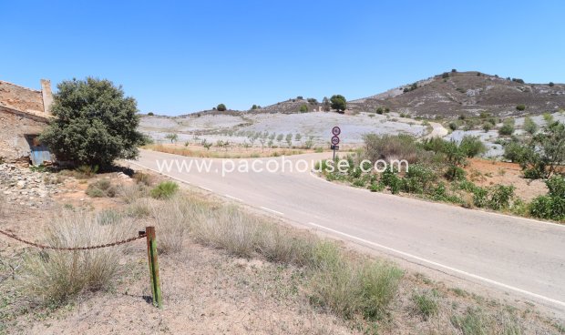 Resale - Plot / Land -
Zarzalico