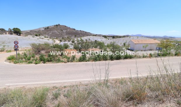 Resale - Plot / Land -
Zarzalico
