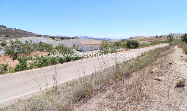 Resale - Plot / Land -
Zarzalico