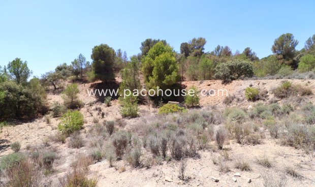 Resale - Plot / Land -
Zarzalico