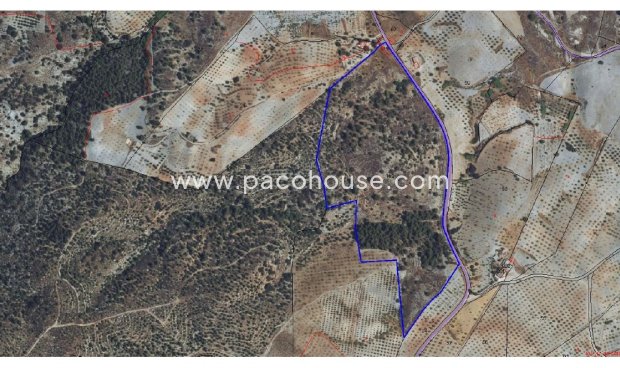 Resale - Plot / Land -
Zarzalico