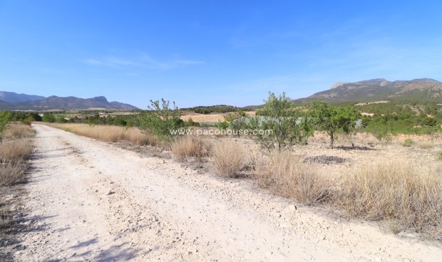 Resale - Plot / Land -
Zarzadilla De Totana