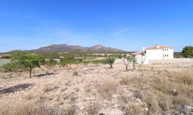 Resale - Plot / Land -
Zarzadilla De Totana