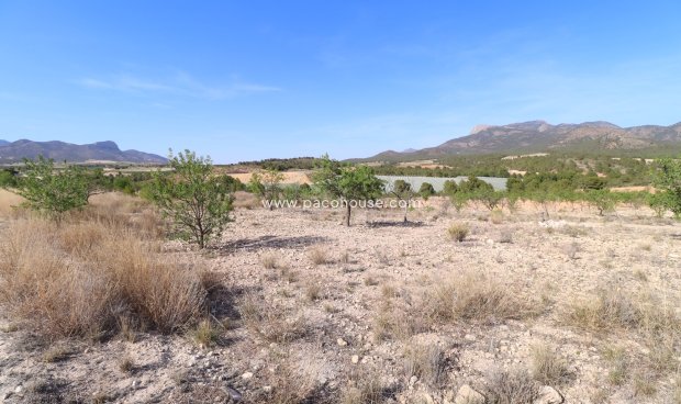 Resale - Plot / Land -
Zarzadilla De Totana