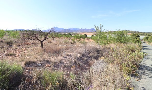 Resale - Plot / Land -
Zarzadilla De Totana