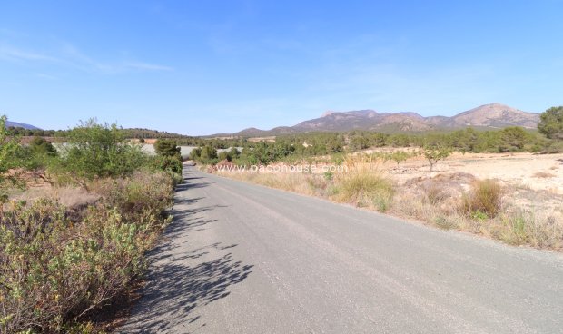 Resale - Plot / Land -
Zarzadilla De Totana