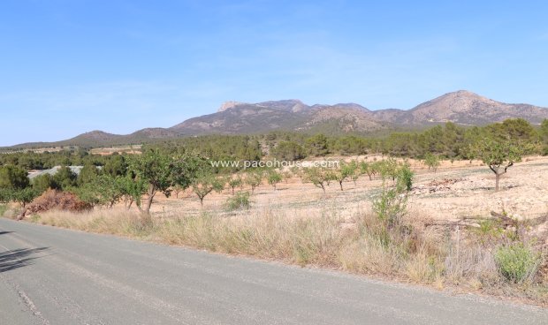 Resale - Plot / Land -
Zarzadilla De Totana