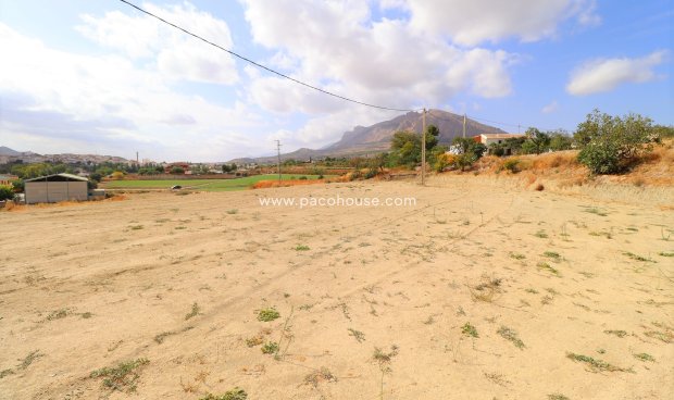 Resale - Plot / Land -
Velez-Rubio
