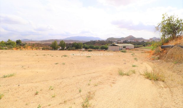Resale - Plot / Land -
Velez-Rubio