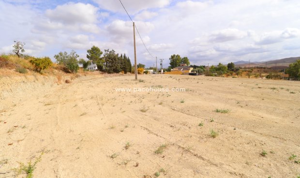 Resale - Plot / Land -
Velez-Rubio