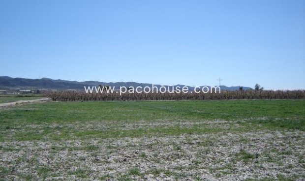 Resale - Plot / Land -
Purias