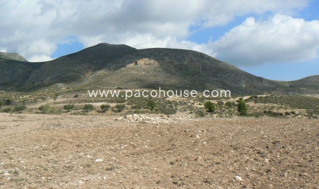 Resale - Plot / Land -
La Parroquia