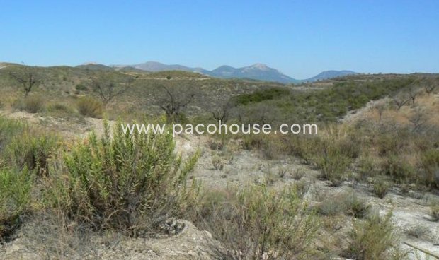 Resale - Plot / Land -
Zarzalico
