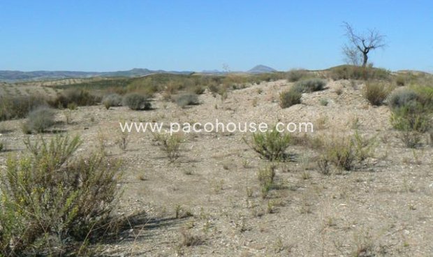 Resale - Plot / Land -
Zarzalico
