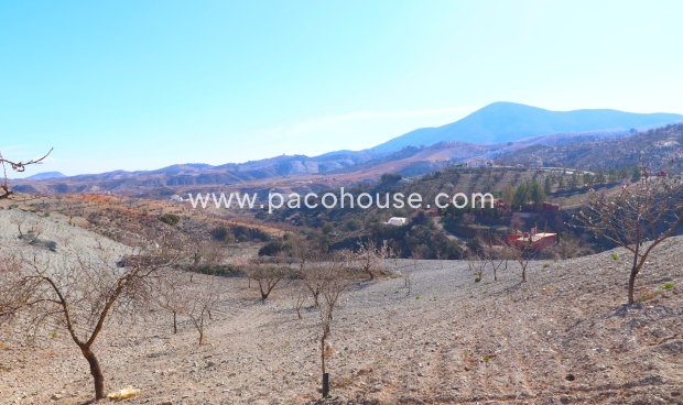 Resale - Country House -
Velez-Rubio
