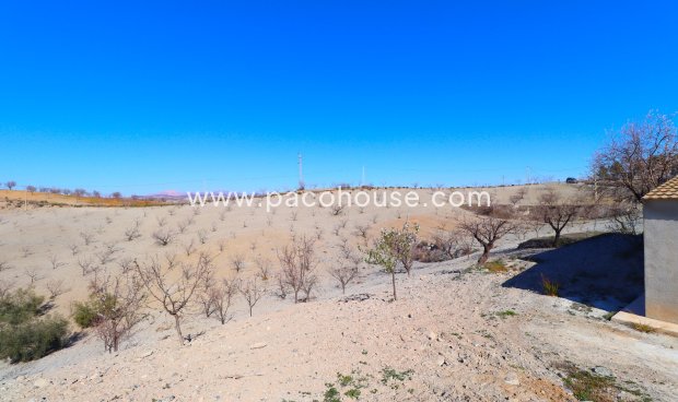 Resale - Country House -
Velez-Rubio