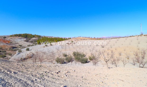 Resale - Country House -
Velez-Rubio