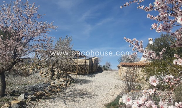 Resale - Cortijo -
Velez-Rubio