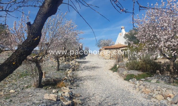 Resale - Cortijo -
Velez-Rubio