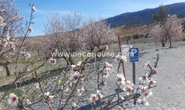 Resale - Cortijo -
Velez-Rubio